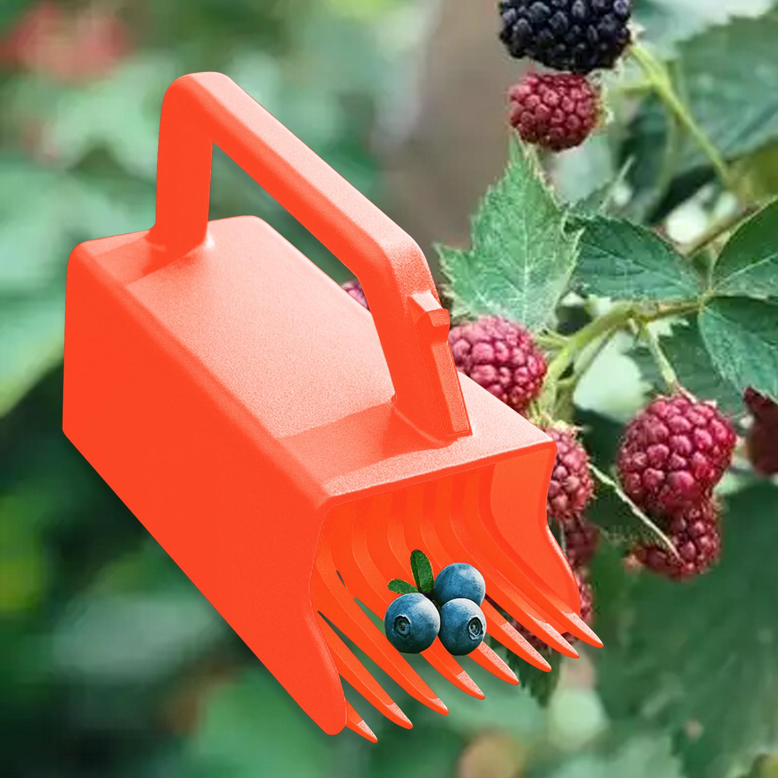 Huckleberry Picking Rake Berry Harvester Blueberry Rake Scoop for Redcurrants Currants Blueberries Lingonberries Strawberries красный