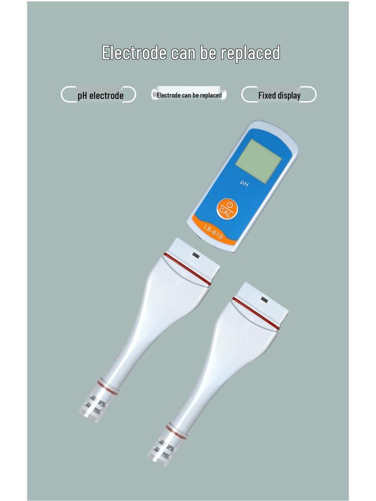 High Precision Portable pH Test Pen - Water Quality and Acidity/Alkalinity Analyzer with Automatic Calibration