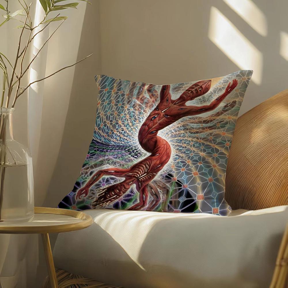 Alex gGrey art Pillow Case DoubleSided Plush Sofa Cushion Covers Organic Breathable Invisible Zipper