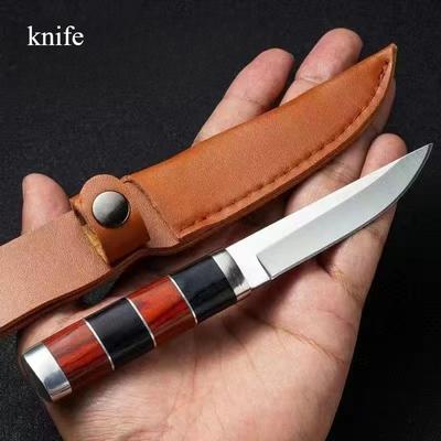 Coltello da carne mongolo Coltello da cucina domestico Coltello da frutta Coltello da barbecue Coltello da bistecca occidentale Coltello da carne a mano Coltello da taglio per pecore e bovini
