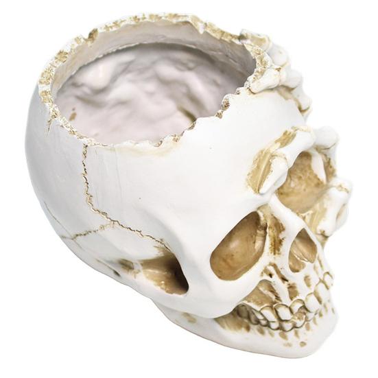 Skull Flower Pot Resin Human Skull Planter Weatherproof Gothic Plant Pot for Planting Succulents Indoor Outdoor Use