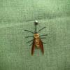 Simulation Insects Cat Teasing Stick Replacement Head Toy Mosquitoe Moth Flower Cow Shape Pet Toys
