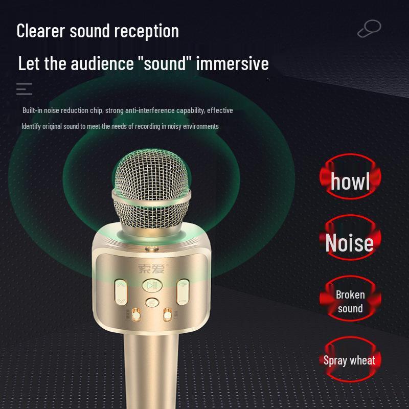 Wireless Bluetooth Microphone & Speaker for Mobile - Sing K Songs At Home for Kids & Adults