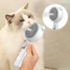 Cat Steamy Brush Grooming Comb Cat Hair Brush Built-in Spray Steamer Comfortable Pet Comb Hair Removal Tool For Removing Tangles