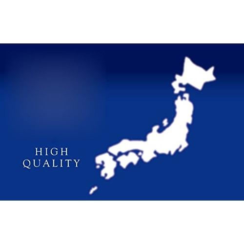 Pearl Metal Tsubame-Sanjo Iron Omelet Frying Pan, 9.5 x 20cm, Induction Compatible, One-Time Roll, Bento Box Omelet Pan, The Iron, Black, HB-2407