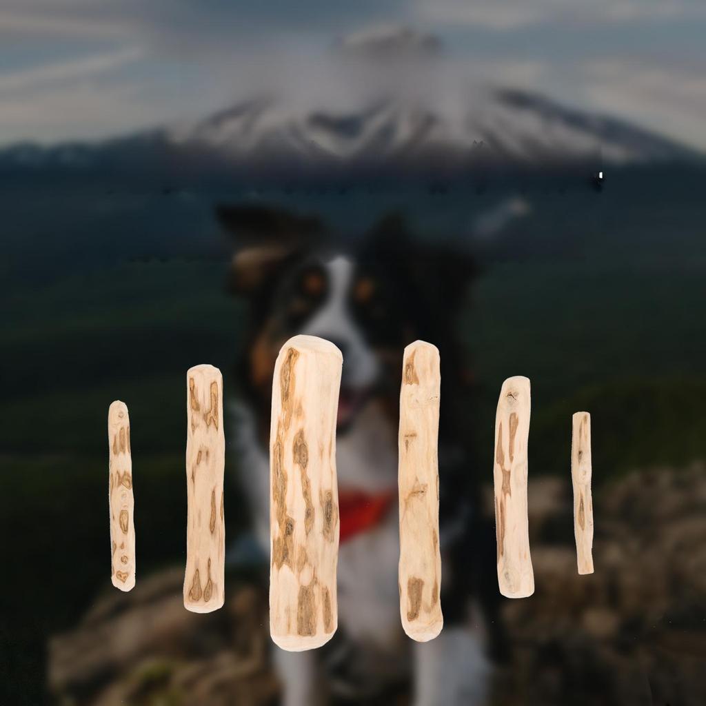 Natural Coffee Wood Dog Teething Stick - Fully Biodegradable Chew Toy