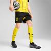 Puma Logo Borussia Dortmund Pantaloncini Sportivi Casual Comodi Traspiranti da Uomo Neri 774977-02