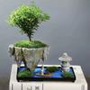Phalaenopsis Blumentopf Glücksbaum Bonsai Retro Reis Bambus Innen schwebende Insel Hängender Eisen Mikro-Landschaftstopf