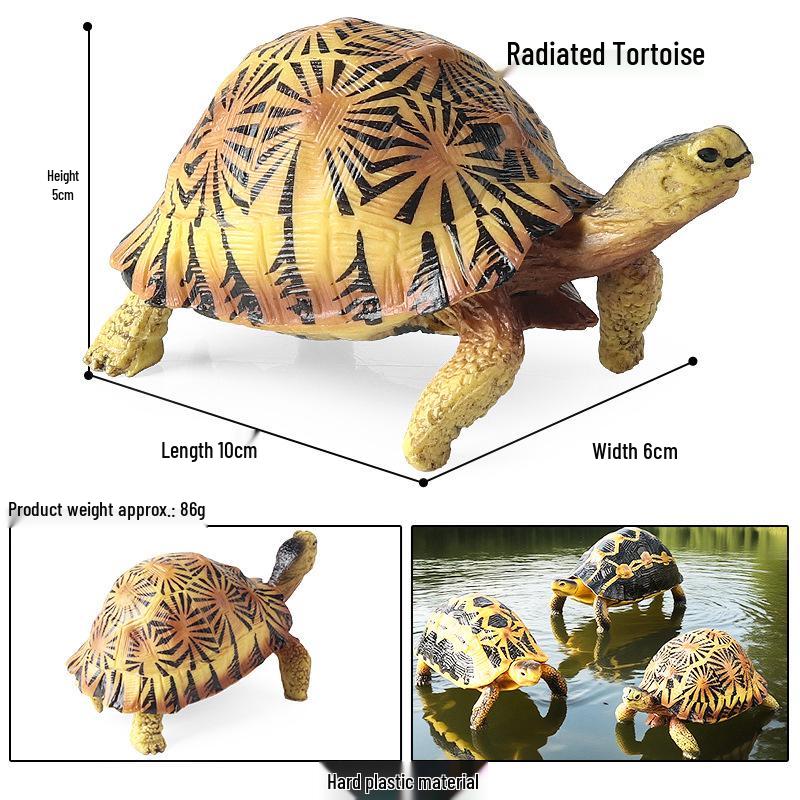 Wild Animal Model: Children's Simulation Turtle Gift Set - Tortoise Variants & Spiderweb Design.