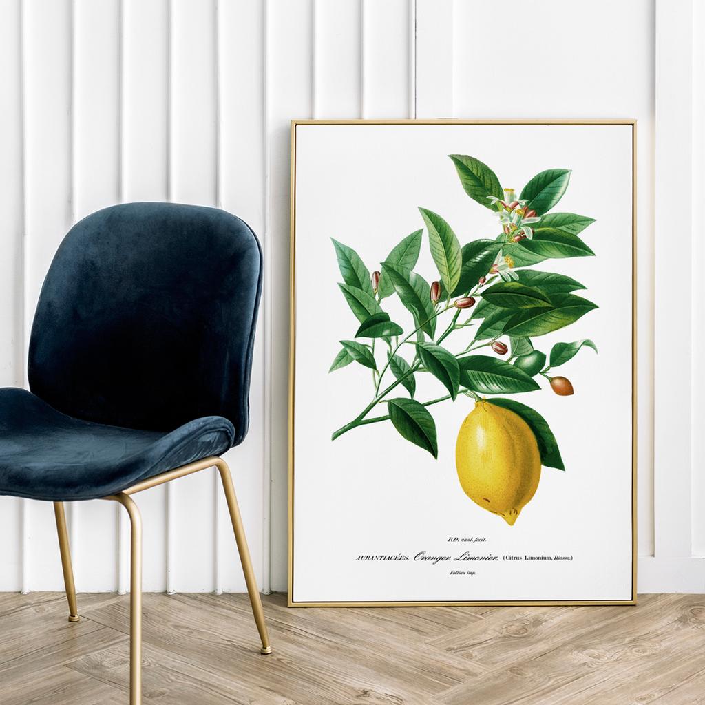 Poster Plant Lemon Fruit