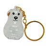 Clear Pet Hair Memorial Keychain Keepsakes For Dog Lover Furs Collector Box Jewelry Honored Beloveds Pet Bag Charm Gift