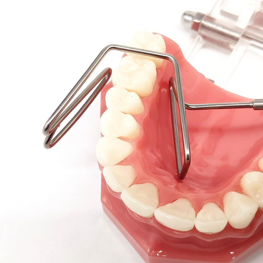 1 Pc or 2 Pcs Dental Lip Cheek Isolator Lip Cheek Separator Retractors Tongue Isolator Stainless Steel Lingual Separator