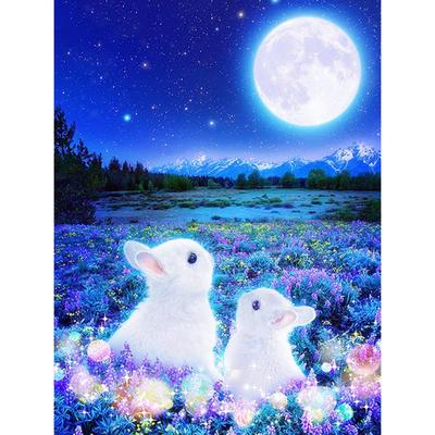 5D Fai da te Diamante Quadrato Fatto a Mano Strass Rotondo Punto Croce Coniglio Luna Animale Immagine Decorazione Casa