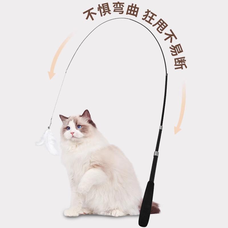 Bacchetta retrattile per gatti con piuma: Giocattolo a Filo da Pesca Lungo e Resistente ai Morsi per Gioco Autonomo.