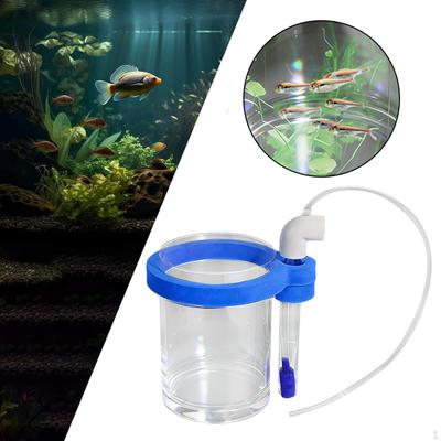 Pesci e animali marini – Manutenzione acquario