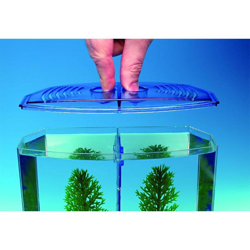 Cutie mare de pești de luptă cu compartiment dublu Eco Rumble Fish Aquarium Mini Aquarium Plastic Isolation Box Box reproduction