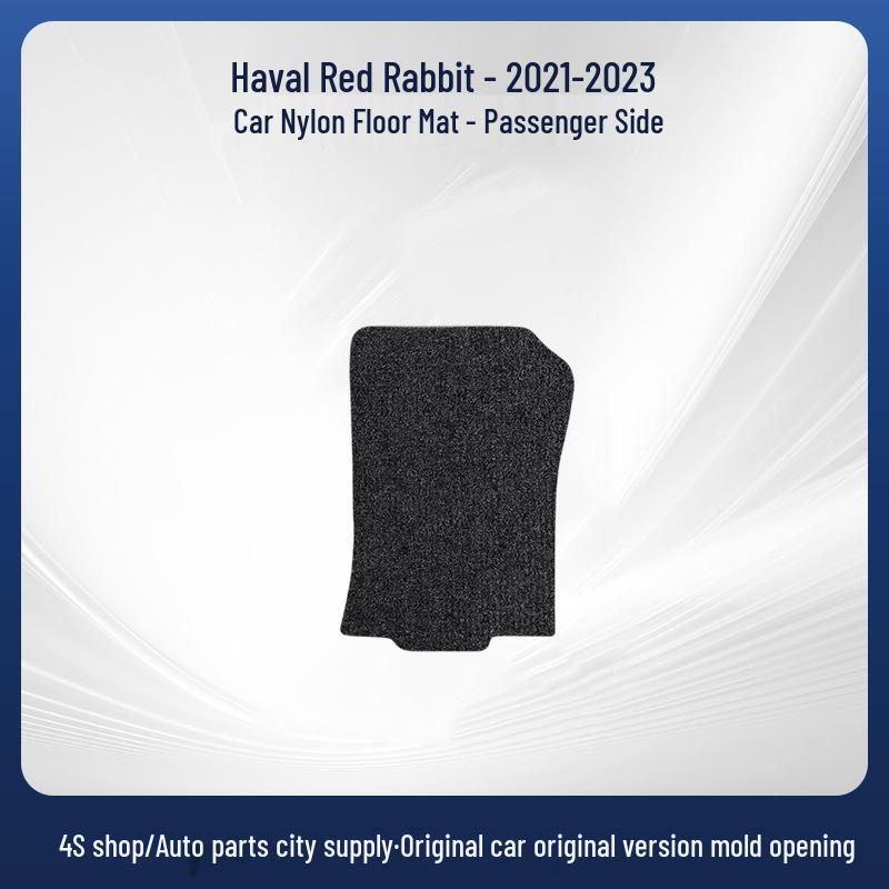 Black Nylon Floor Mats for Haval Chitu (2021-2023) - Comfortable Full Coverage Door Mats