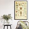 Ocean Sea Shell Fish Animal Canvas Painting Posters And Prints Wall Art Picture Vintage Life Chart Biology Decoration Home Decor