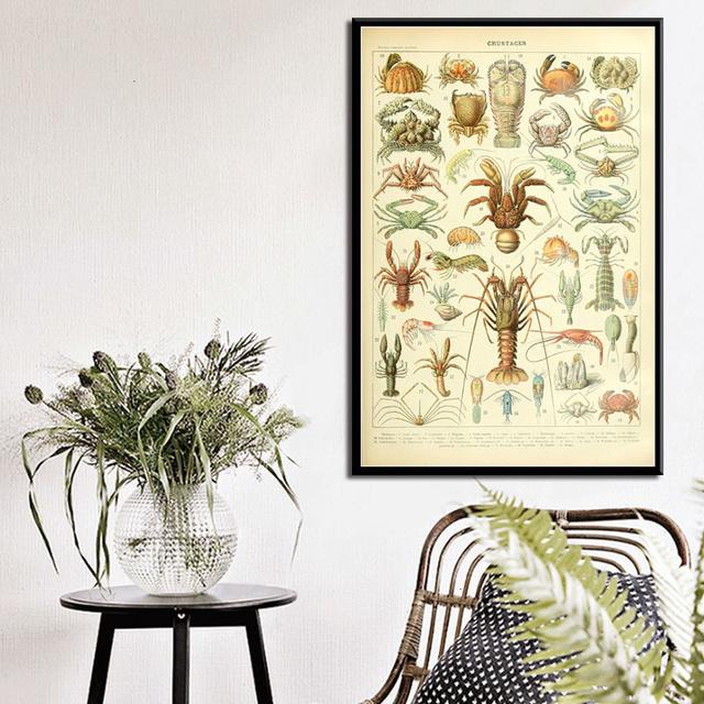 Ocean Sea Shell Fish Animal Canvas Painting Posters And Prints Wall Art Picture Vintage Life Chart Biology Decoration Home Decor