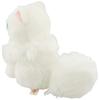 Sun Arrow White Cat Lily S K8665