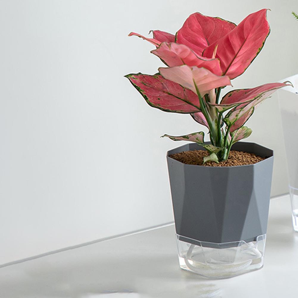 Transparent Double Layer Plastic Flower Pot Self Watering Flowerpot Cotton Rope Watering Plant Pot For Balcony Tabletop