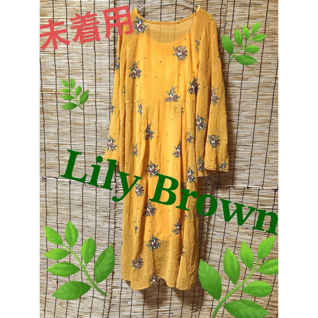 Not worn! lily brown dress