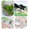 6.3X7.9 Inch Mini P op Up Mesh Butterfly Enclosure Cage Caterpillar Habitat See Through For Indoors Outdoor Butterfly Net