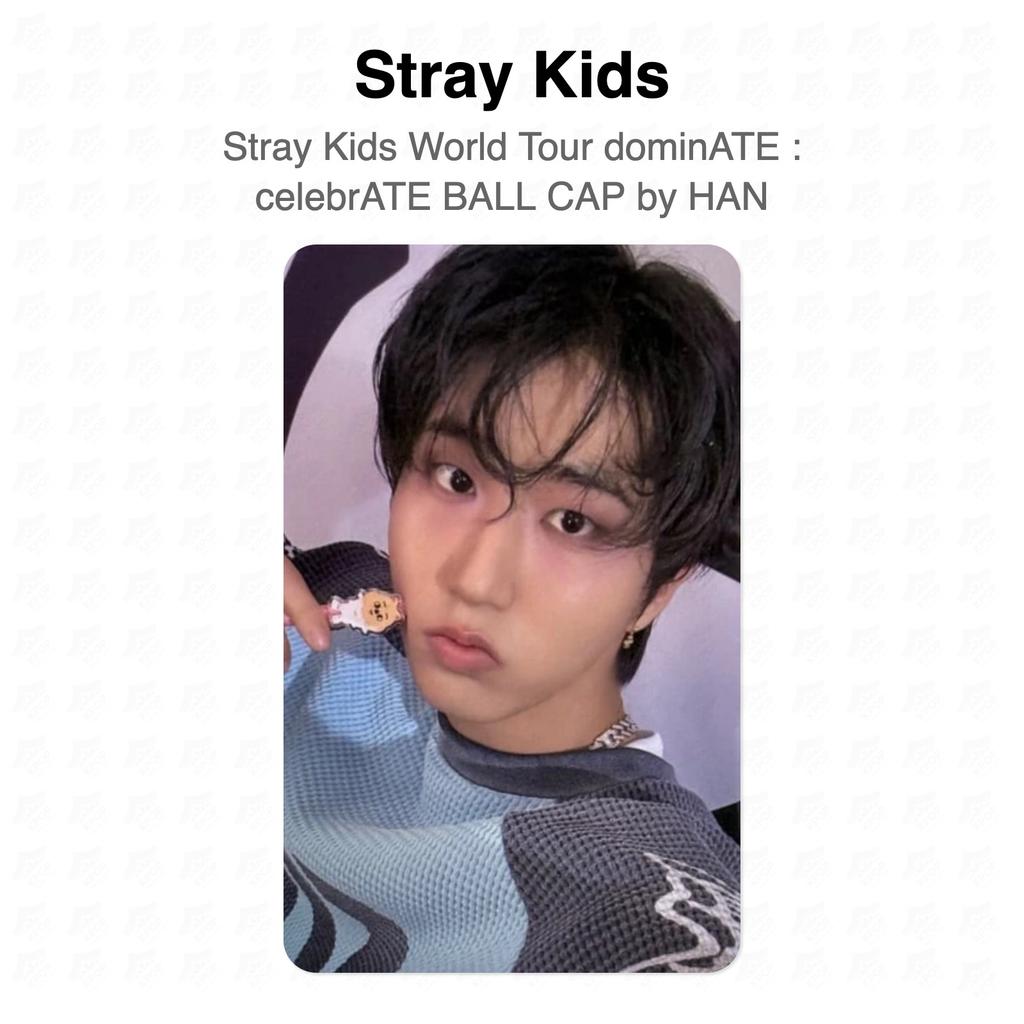 Stray Kids HAN World Tour dominATE : celebrATE BALL CAP by HAN Official Photocard