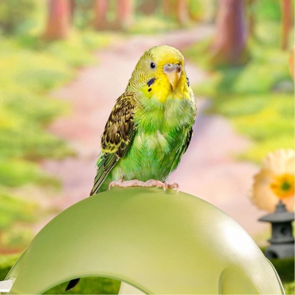 Creative Anti-bite Hamster Spacer Capsule Hide Out Playing Hanging Nest Small Animal Nest Hamster