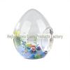 Egg-Shaped Glass Vase for Succulent and Moss Landscaping