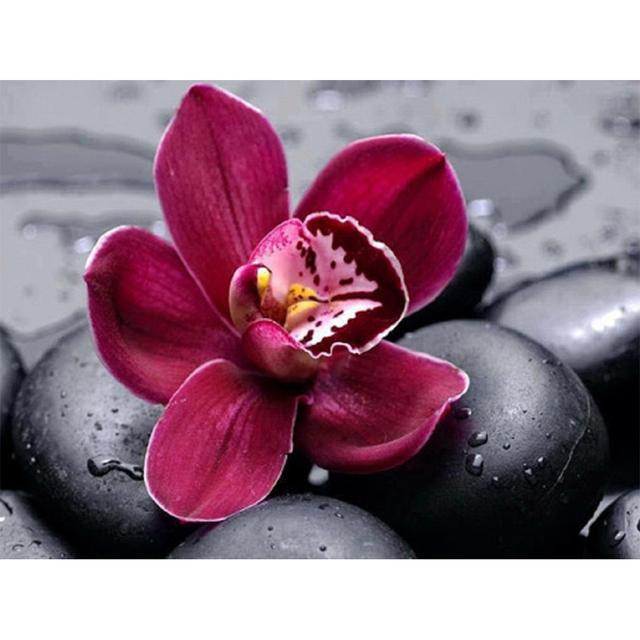 

5D DIY Алмазная картина Цветок Набор для вышивки крестом Полный круглый алмазная вышивка Мозаика Искусство Стразы Украшение Картина Full Round 20x30CM