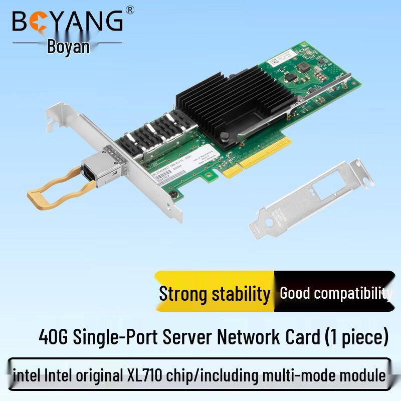 Boyang Intel PCI-E Server Network Adapter (CN Version)