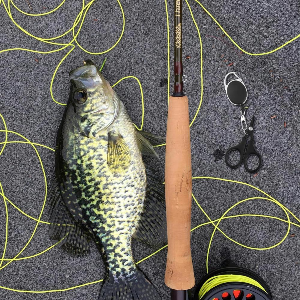 Fishing line scissors, braided fishing line scissors, stainless steel braided fishing line scissors, retractable lanyard, salt w