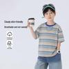 Boys' Striped Summer T-shirt