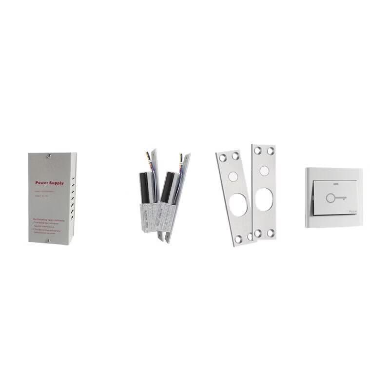 Realand S01S Electric Bolt Lock Kit CN plug (adapter included)
