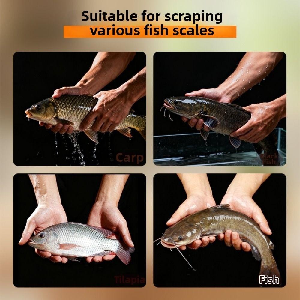 Sicherer Elektrischer Fischschupper Spritzschutz Fischschuppenentferner Küchen-Kokosnussreibe Angelzubehör