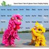 Sharprey Adult Double Wool Southern Lion Dance Costume with LED Lights