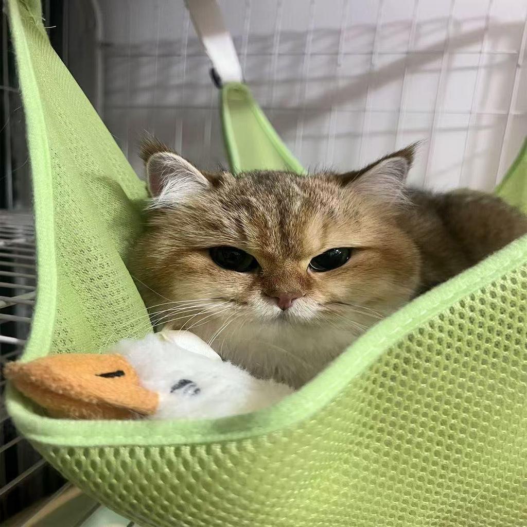 Universal Cat Hammock: Breathable Mesh Hanging Bed, Adjustable Swing for Cages