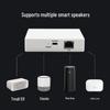 Graffiti Zigbee Smart Home Voice Control Hub with Alexa & Google Integration