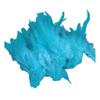 100PCS Stylish Plumage Trims For Enthusiasts Addition To Accessories And Festival Decoration