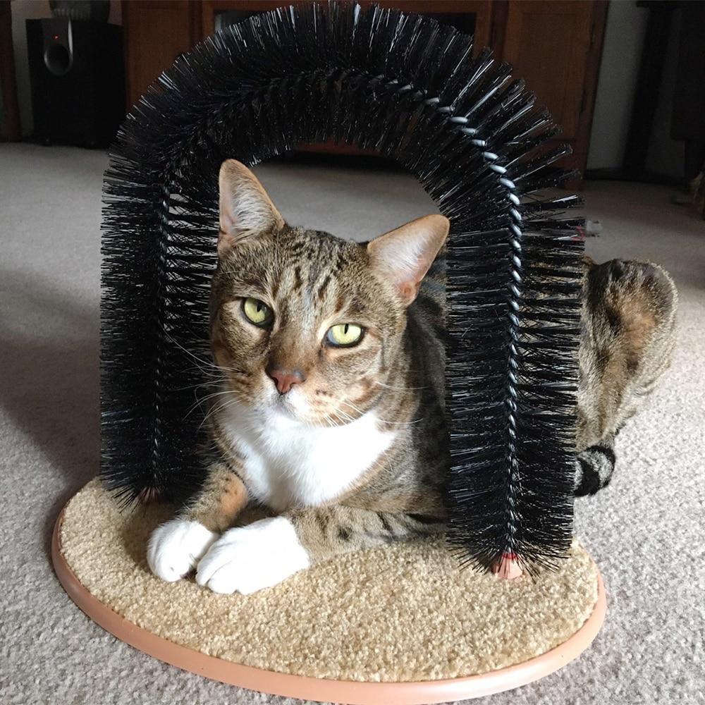cat brush arch