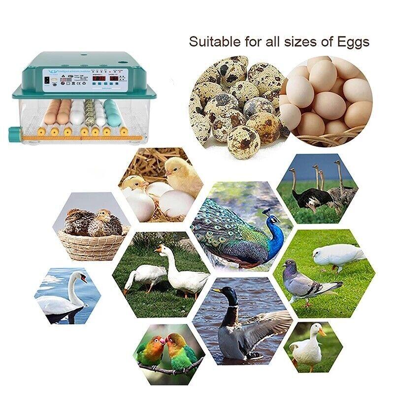 16/36 Egg Incubator Automatic Integrated Egg Candler, Temperature Control Egg Hatcher for Hatching Chicken Duck Quail Eggs