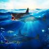 Simulation Megalodon Shark Fashion Marine Animal Party Home Model Toy Kids Decoration Doll Gift Home