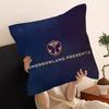 TOMORROWLAND Music Lucky Dragon pillow cover sofa cushion cover home room decoration children gift
