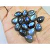 10X13MM Natural Labradorite Blue Fire Pear Cabochon Loose Gemstone 15Pcs Lot C-1106