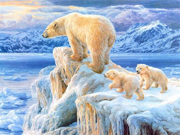 Full Square/round Diamond Painting Embroidery Polar Bear Home Decor Mosaic Cross Stitch Arctic Animal Wall Sticker