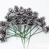 10pcs Christmas DIY Decoration Pine Cone Branches,Brushed White Long Preservation,Suitable for Christmas Tree Decoration Branche