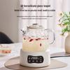 110V Glass Tea Kettle: Health Pot for Office and Home, Compatible with US, European, and British Standards.