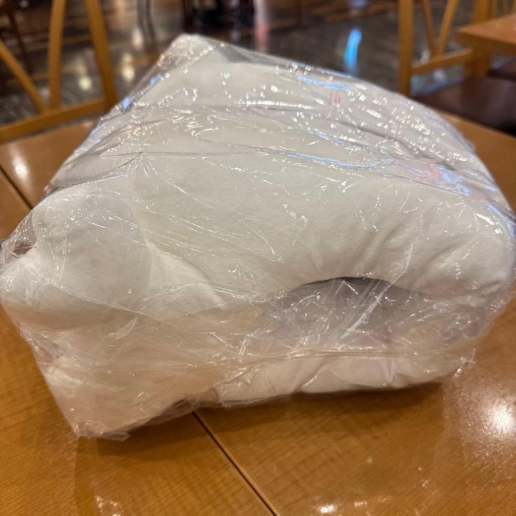 [USED] Today's limited price!! TWICE LOVELYS plush slippers GiGO Dahyun