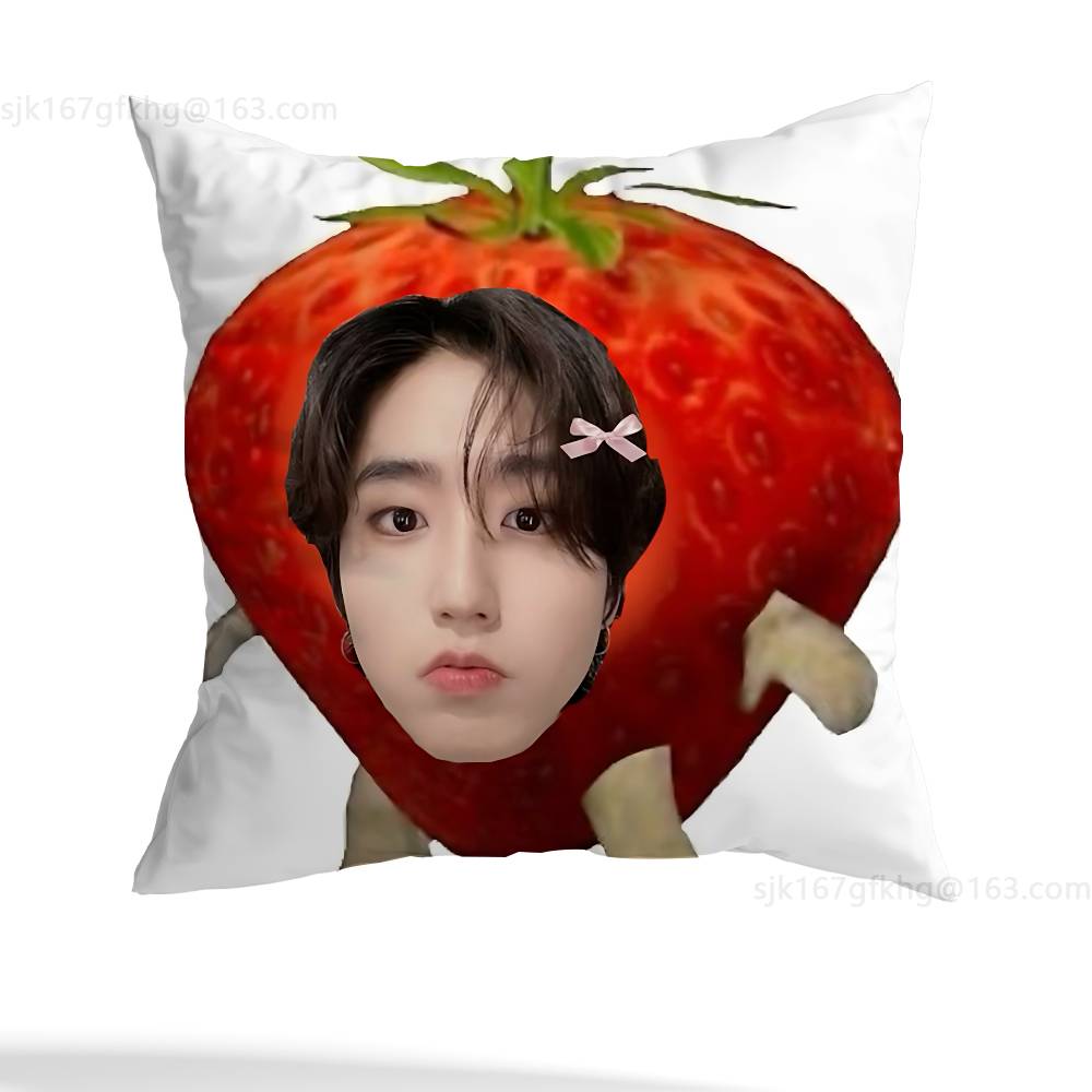 Pop Idol H-Han Ji-sung pillowcase casual style decoration, suitable for home decoration (excluding pillow core)